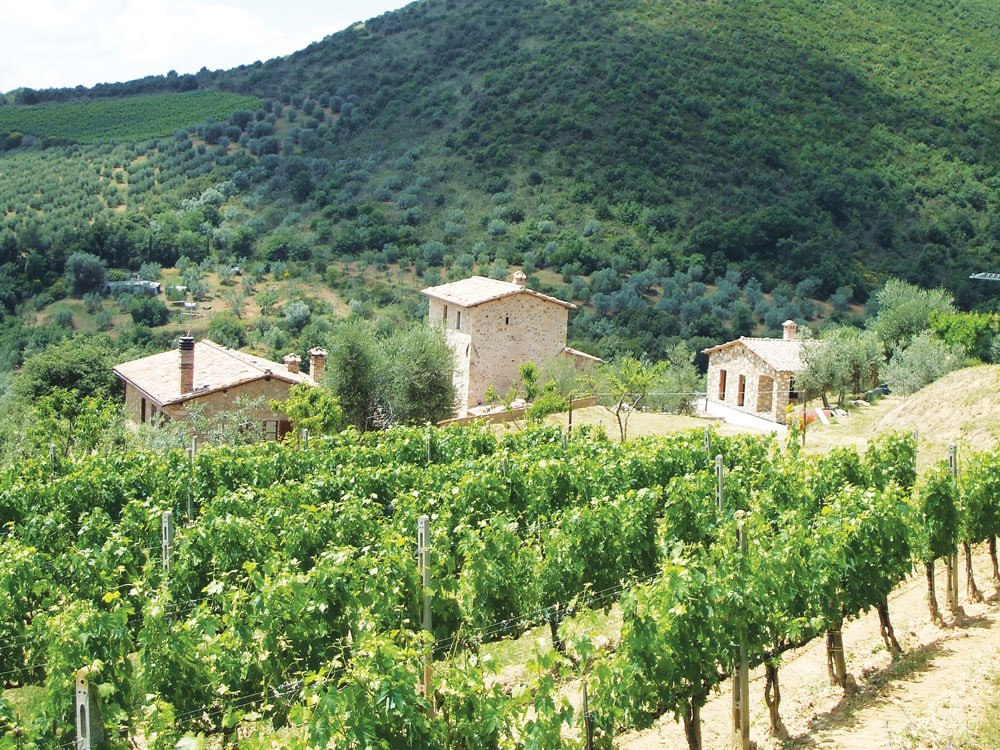 Sour Grapes drives around Tuscany for Brunello