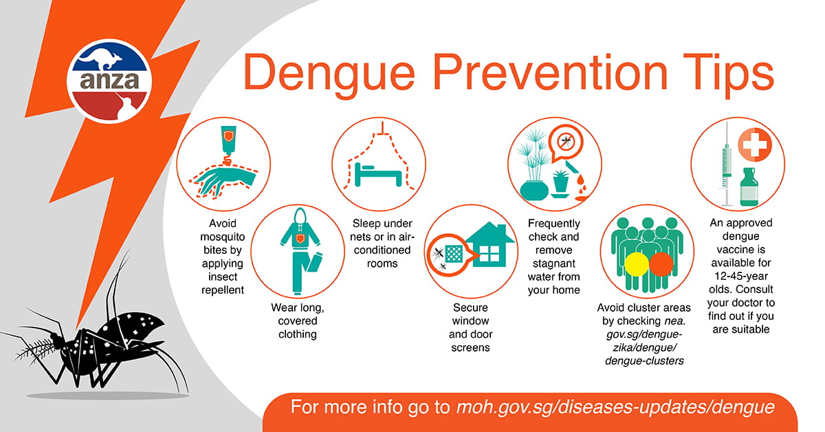 Dengue Prevention Tips » ANZA